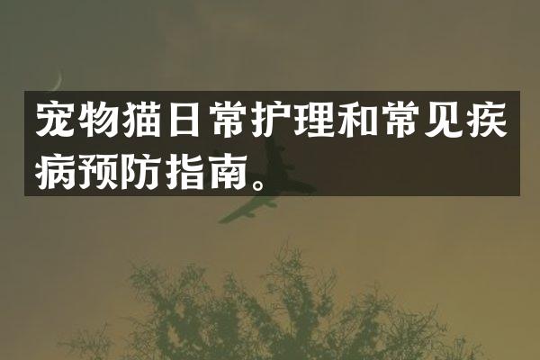 宠物猫日常护理和常见疾病预防指南。