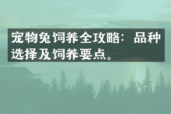宠物兔饲养全攻略：品种选择及饲养要点。