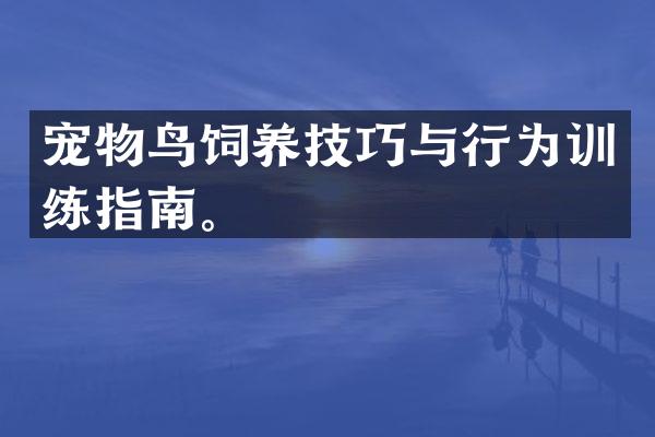 宠物鸟饲养技巧与行为训练指南。