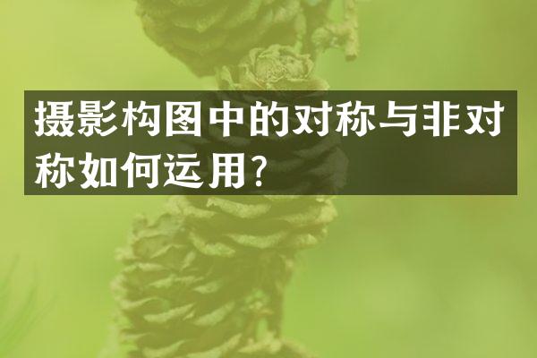 摄影构图中的对称与非对称如何运用？