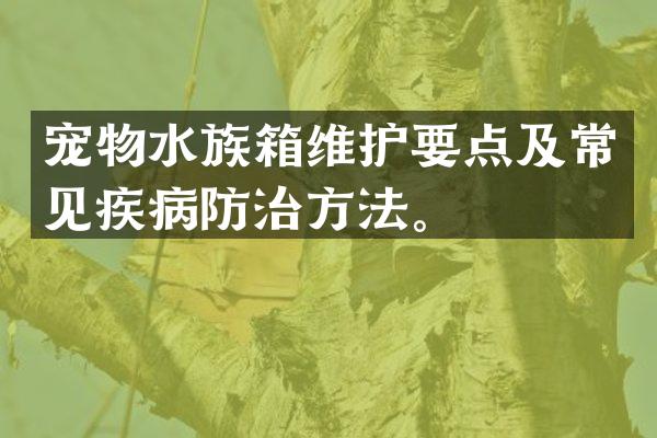 宠物水族箱维护要点及常见疾病防治方法。