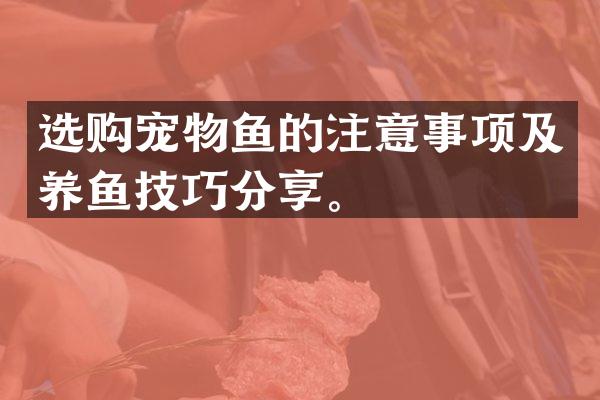 选购宠物鱼的注意事项及养鱼技巧分享。