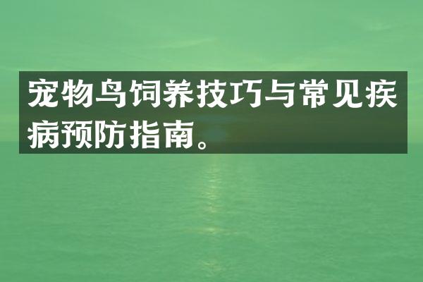 宠物鸟饲养技巧与常见疾病预防指南。