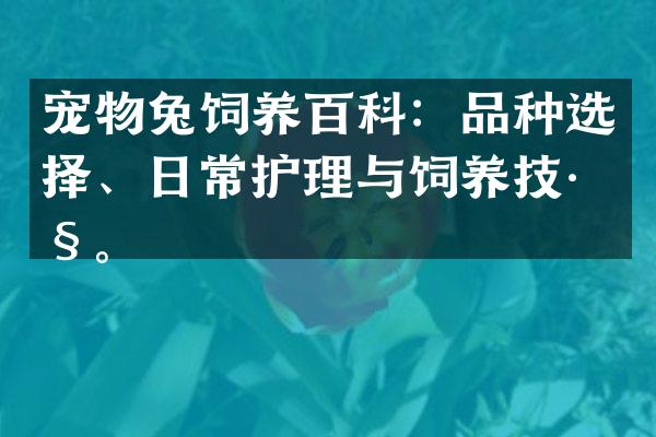 宠物兔饲养百科：品种选择、日常护理与饲养技巧。
