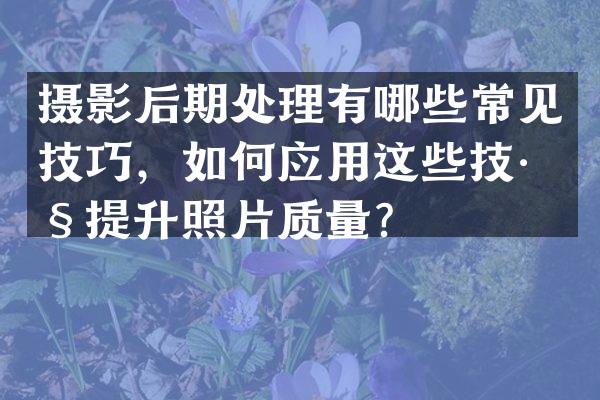 摄影后期处理有哪些常见技巧，如何应用这些技巧提升照片质量？