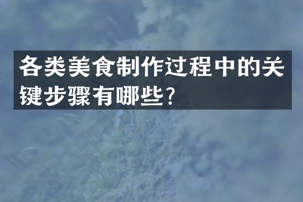 各类美食制作过程中的关键步骤有哪些？