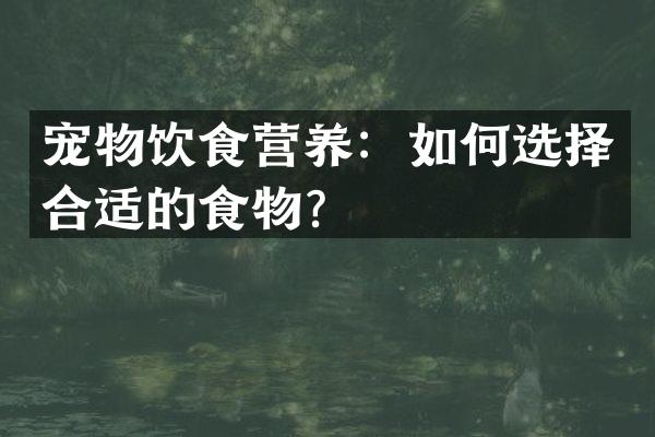 宠物饮食营养：如何选择合适的食物？