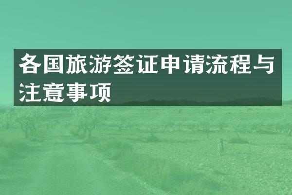 各国旅游签证申请流程与注意事项