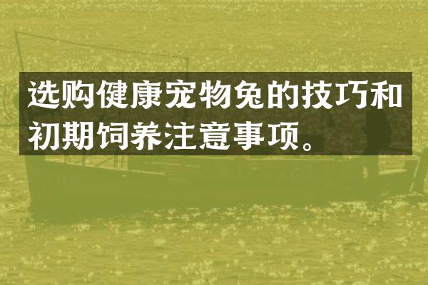选购健康宠物兔的技巧和初期饲养注意事项。