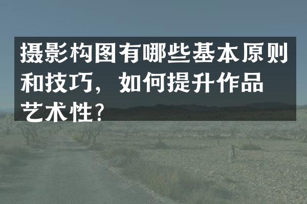 摄影构图有哪些基本原则和技巧，如何提升作品的艺术性？