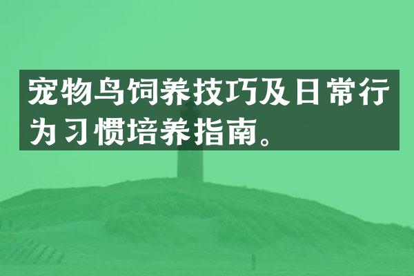 宠物鸟饲养技巧及日常行为习惯培养指南。