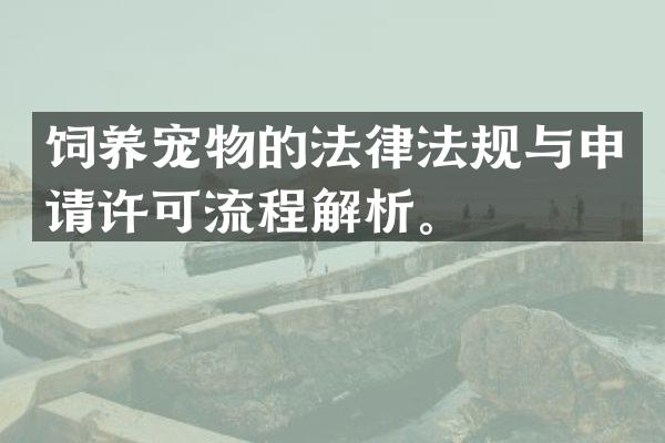 饲养宠物的法律法规与申请许可流程解析。