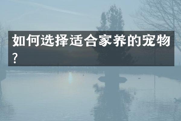 如何选择适合家养的宠物？