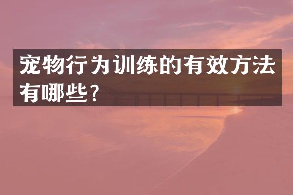 宠物行为训练的有效方法有哪些？