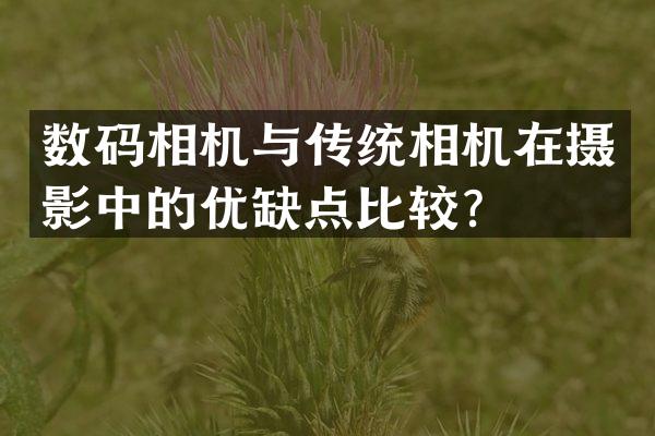 数码相机与传统相机在摄影中的优缺点比较？