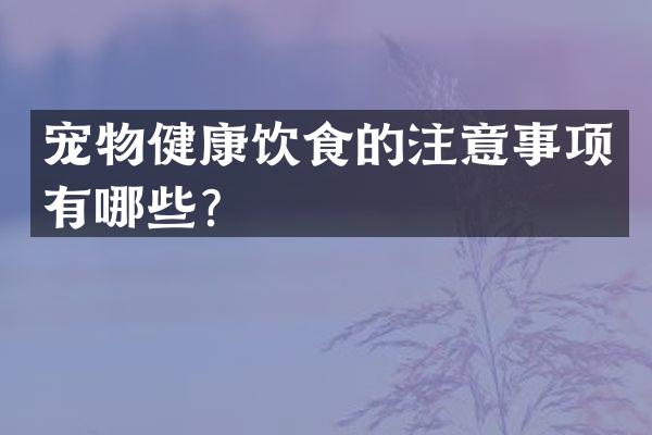 宠物健康饮食的注意事项有哪些？