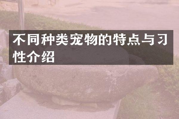 不同种类宠物的特点与习性介绍