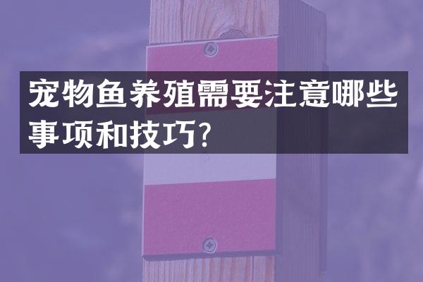 宠物鱼养殖需要注意哪些事项和技巧？