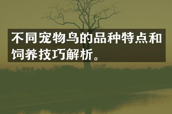 不同宠物鸟的品种特点和饲养技巧解析。