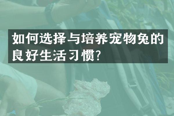 如何选择与培养宠物兔的良好生活习惯？