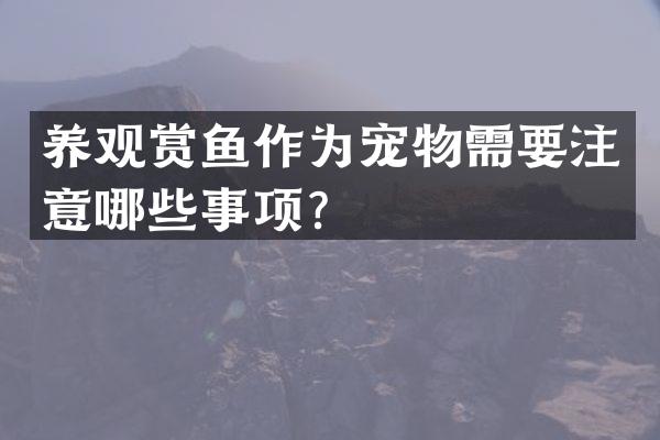 养观赏鱼作为宠物需要注意哪些事项？