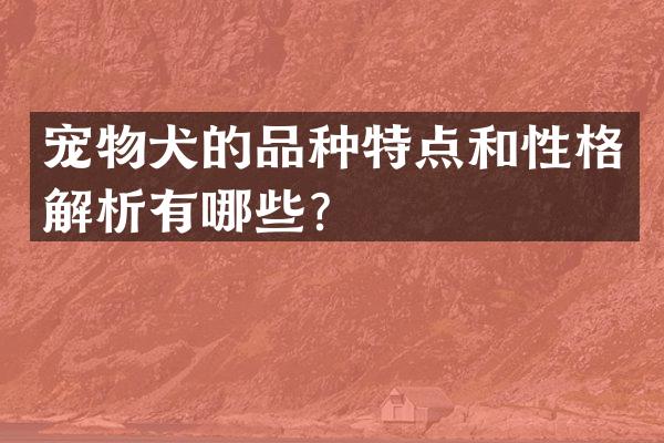 宠物犬的品种特点和性格解析有哪些？