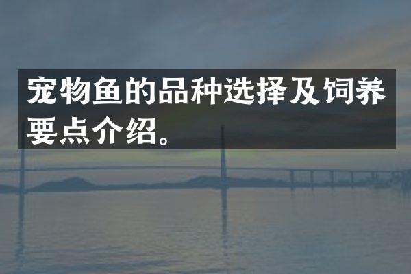 宠物鱼的品种选择及饲养要点介绍。