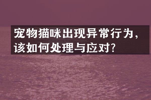 宠物猫咪出现异常行为，该如何处理与应对？