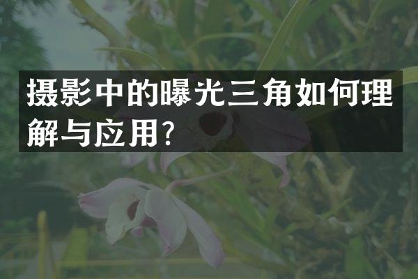 摄影中的曝光三角如何理解与应用？
