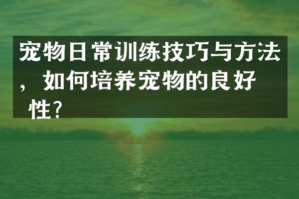 宠物日常训练技巧与方法，如何培养宠物的良好习性？