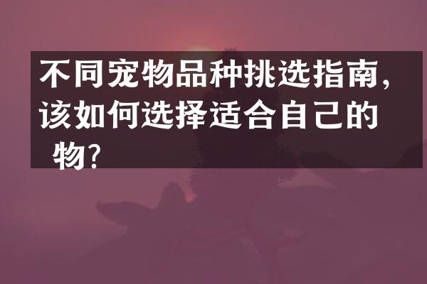 不同宠物品种挑选指南，该如何选择适合自己的宠物？