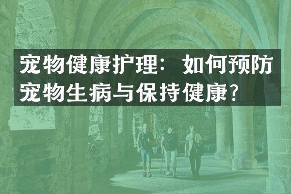 宠物健康护理：如何预防宠物生病与保持健康？