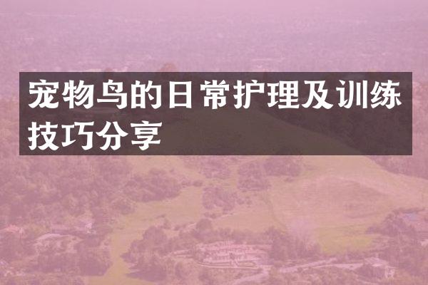 宠物鸟的日常护理及训练技巧分享