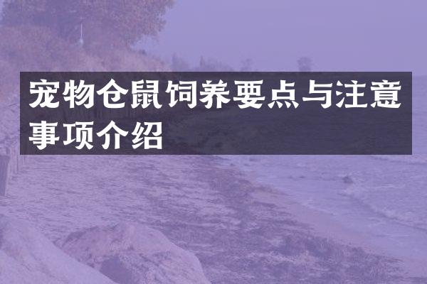 宠物仓鼠饲养要点与注意事项介绍