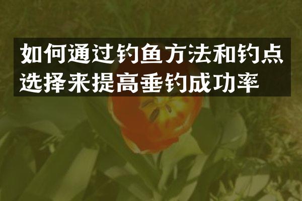 如何通过钓鱼方法和钓点选择来提高垂钓成功率？