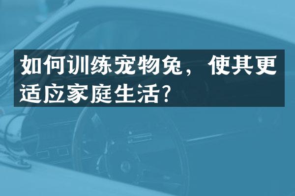 如何训练宠物兔，使其更适应家庭生活？