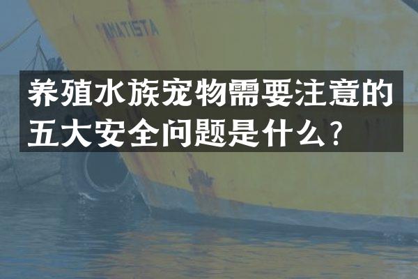 养殖水族宠物需要注意的五大安全问题是什么？