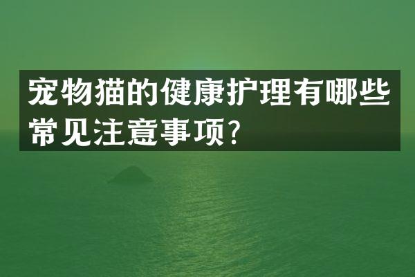 宠物猫的健康护理有哪些常见注意事项？