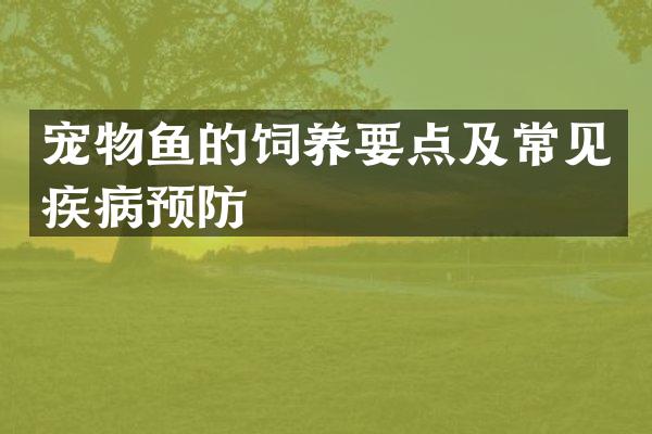 宠物鱼的饲养要点及常见疾病预防