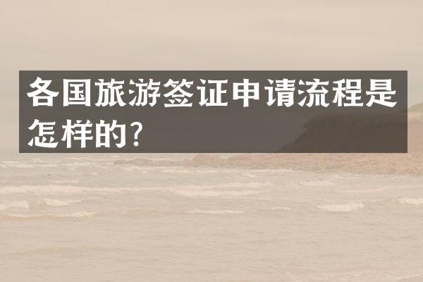 各国旅游签证申请流程是怎样的？
