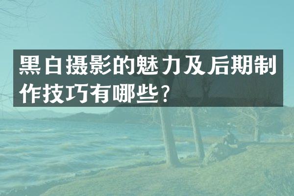 黑白摄影的魅力及后期制作技巧有哪些？