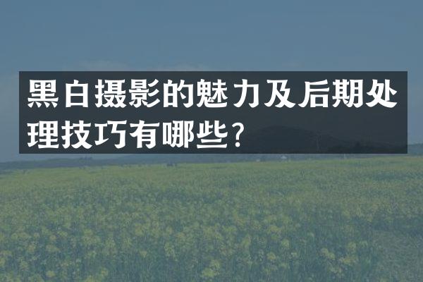黑白摄影的魅力及后期处理技巧有哪些？