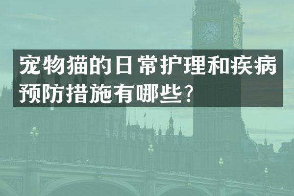 宠物猫的日常护理和疾病预防措施有哪些？