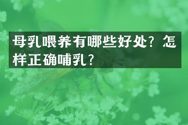 母乳喂养有哪些好处？怎样正确哺乳？