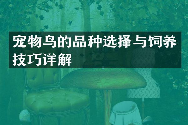 宠物鸟的品种选择与饲养技巧详解