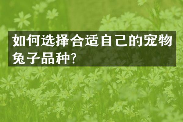 如何选择合适自己的宠物兔子品种？