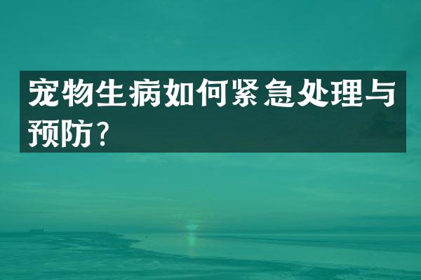 宠物生病如何紧急处理与预防？