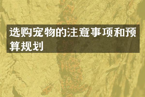 选购宠物的注意事项和预算规划