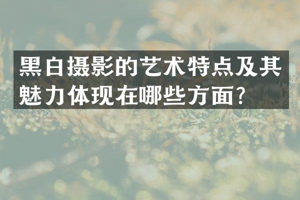 黑白摄影的艺术特点及其魅力体现在哪些方面？
