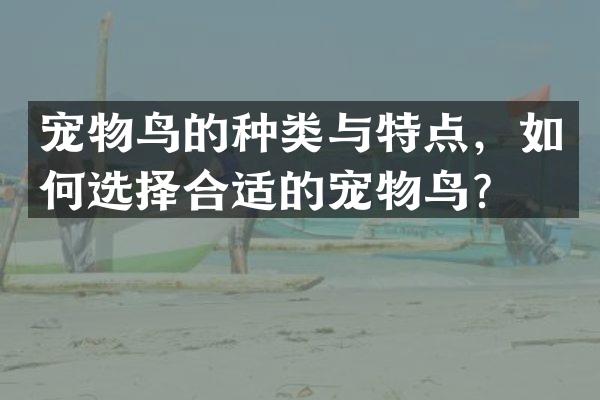 宠物鸟的种类与特点，如何选择合适的宠物鸟？